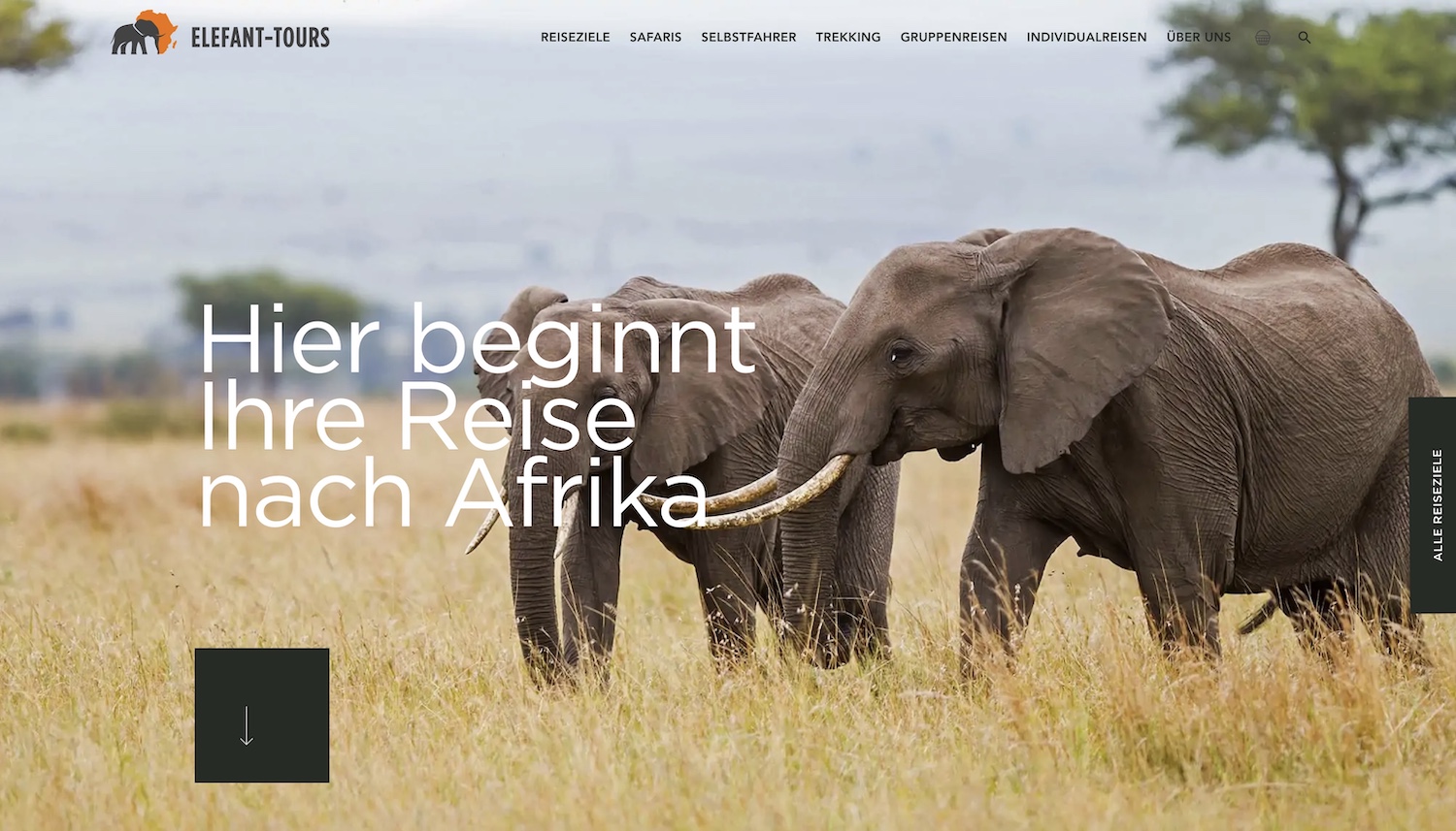 Elefant-Tours: Experte für Afrika-Reisen mit Website-Relaunch Elefant-Tours: Experte für Afrika-Reisen mit Website-Relaunch