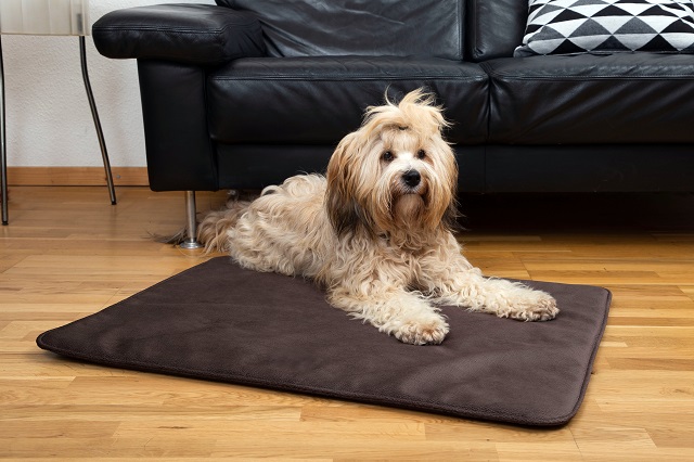 Hundedecke haarfrei von DoggyBed