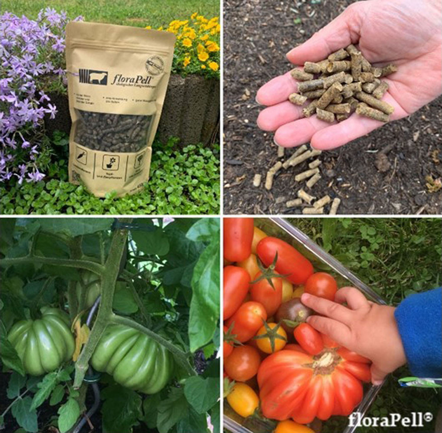 floraPell® Schafwollpellets sind patentiert und nachhaltig floraPell® Schafwollpellets sind patentiert und nachhaltig