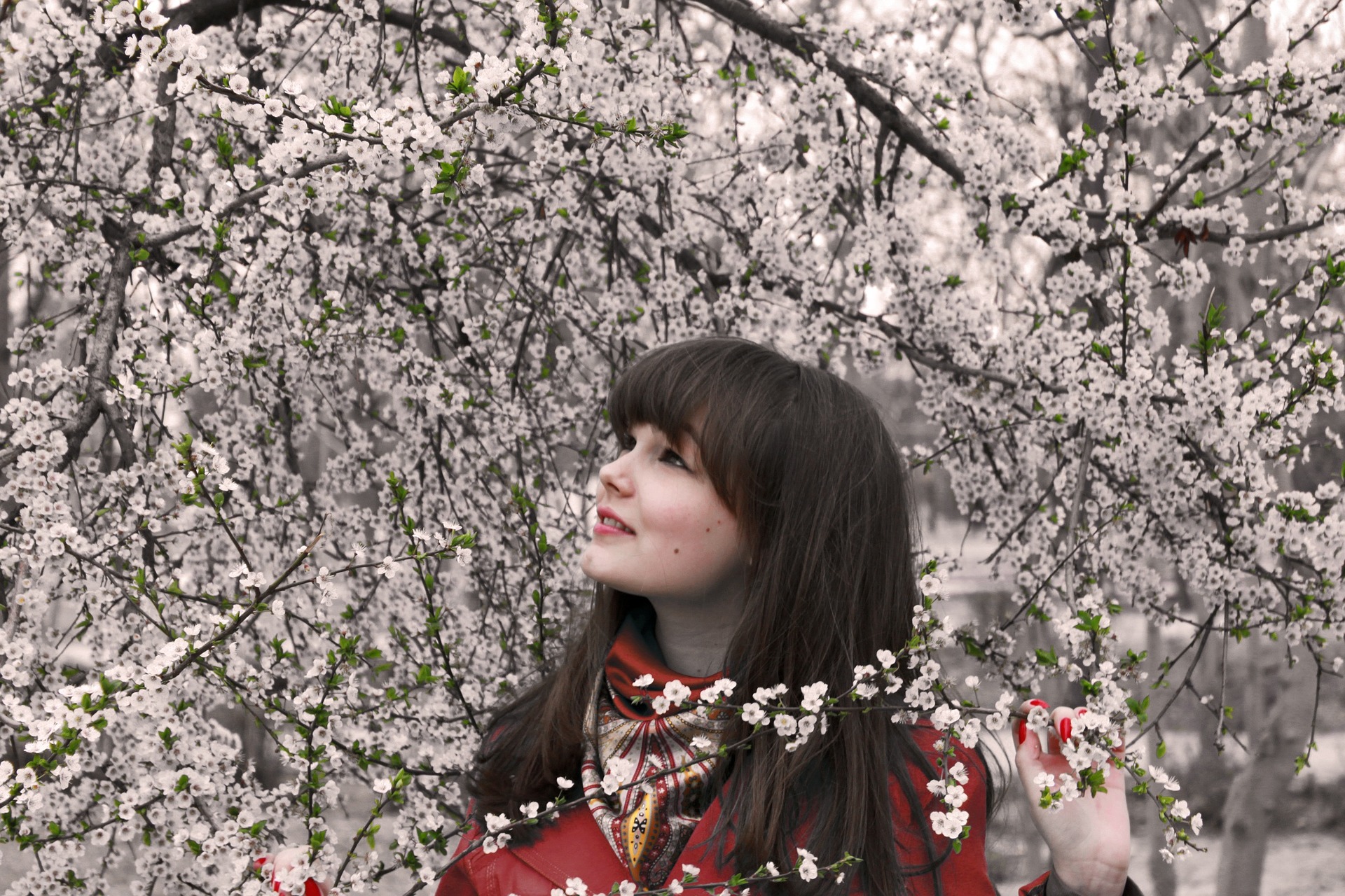 Bei einem entspannten Spaziergang im Frühling lässt sich prima achtsam sein (Bildquelle: ALESSA ABRAMOFF, Pixabay)