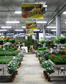 Gartencenter Schlegel: Gartencenter Schlegel: