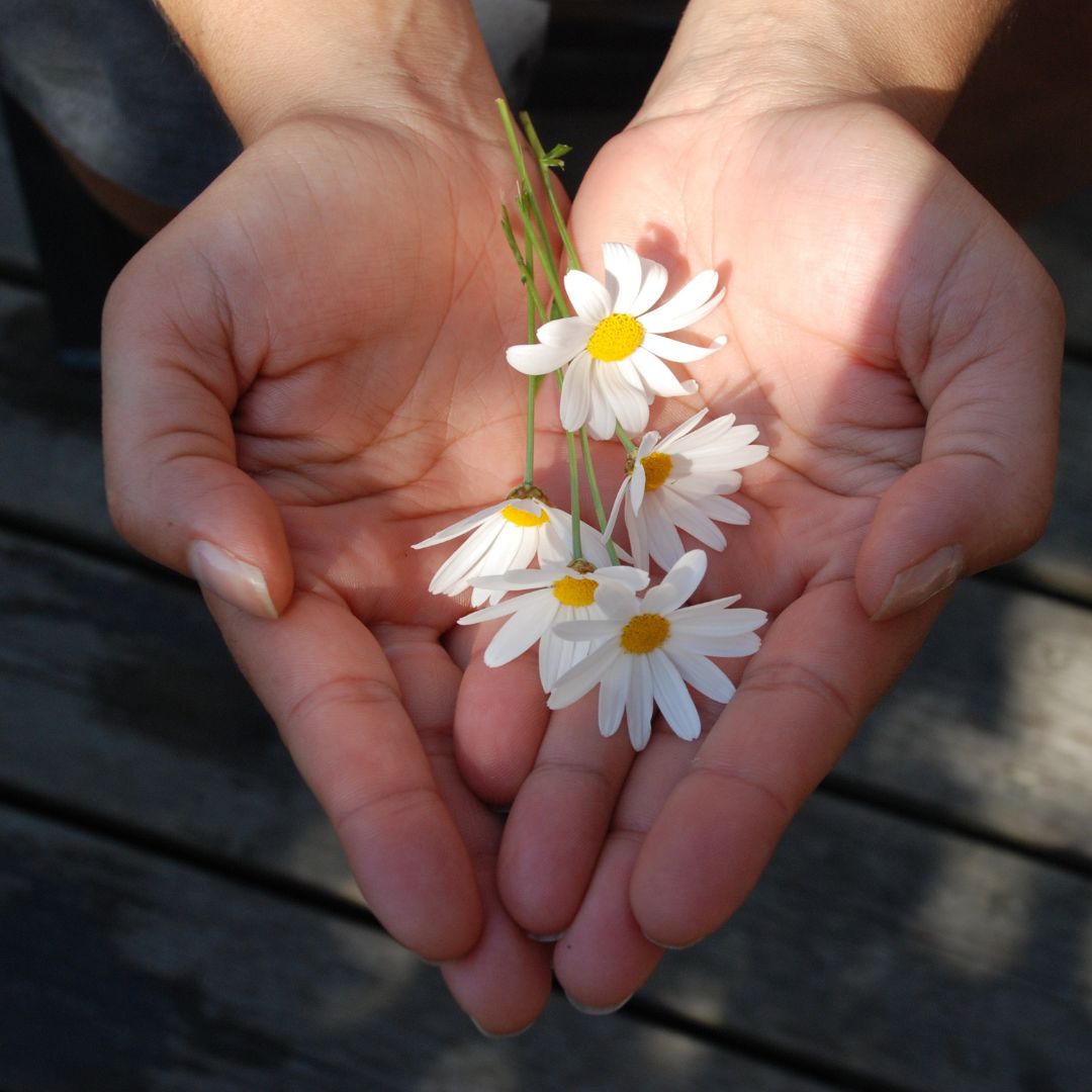 Gepflegte Hände (Bildquelle: Canva) Gepflegte Hände (Bildquelle: Canva)