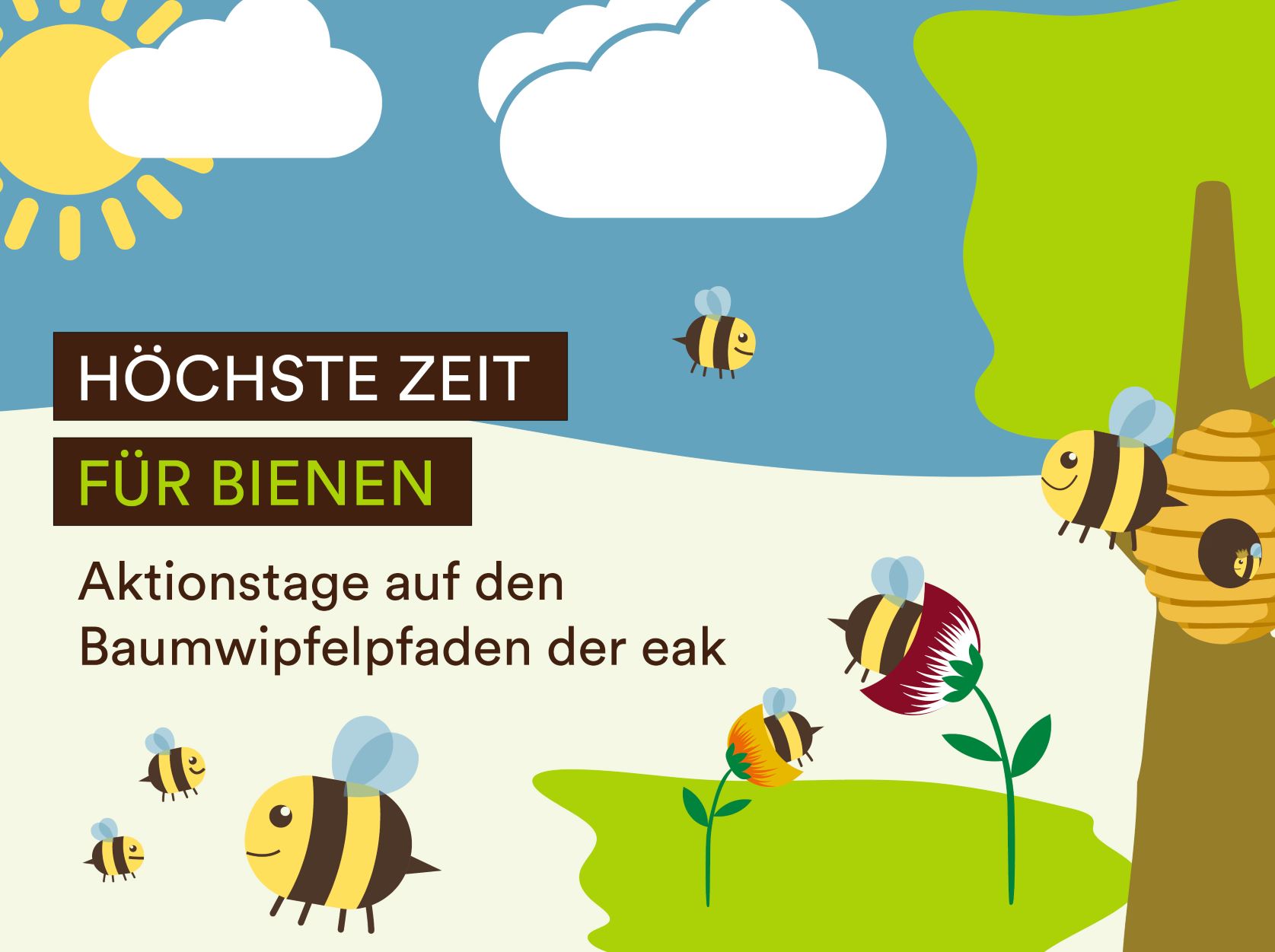 Auf den Baumwipfelpfaden der eak finden spannende Aktionstage zum Thema Bienen statt (Bildquelle:©eak)