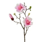 Kunstblume Magnolie (Die Bildrechte liegen bei dem Verfasser der Mitteilung.) Kunstblume Magnolie (Die Bildrechte liegen bei dem Verfasser der Mitteilung.)
