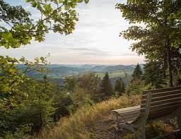 Rothaarsteig Rothaarsteig