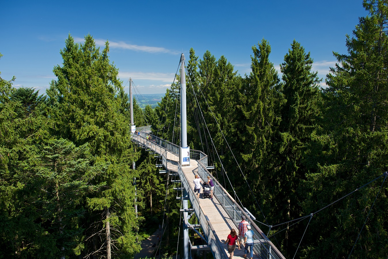 Bekannt ist der Naturerlebnispark vor allem für seinen hochmodernen, barrierefreien Baumwipfelpfad. Bekannt ist der Naturerlebnispark vor allem für seinen hochmodernen, barrierefreien Baumwipfelpfad.