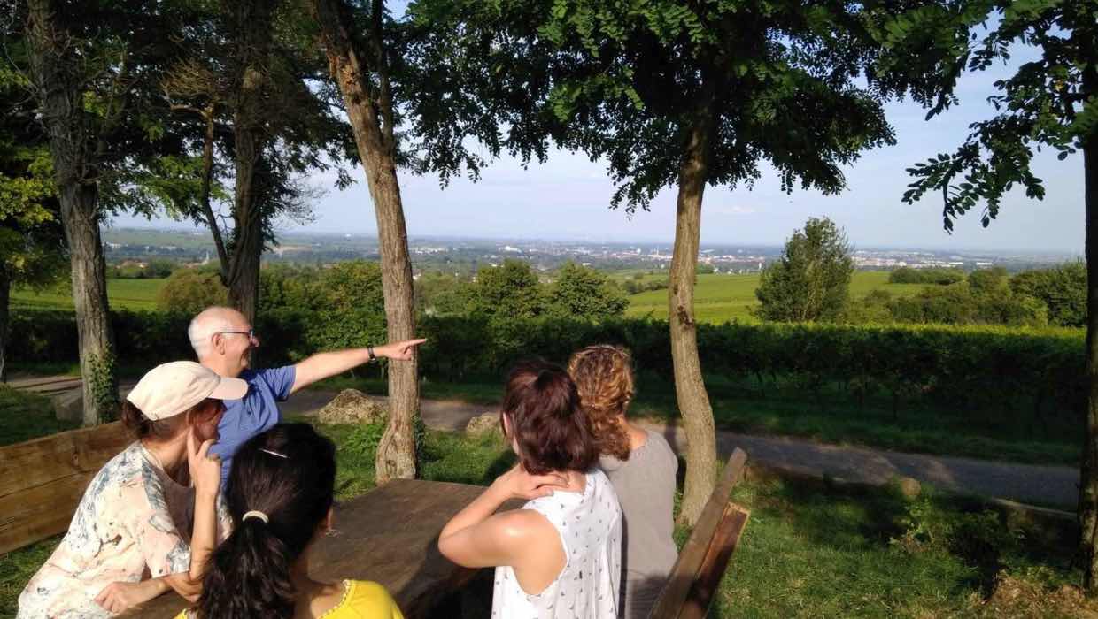 Eine Weinwanderung in der Pfalz bietet die perfekte Möglichkeit für ein Team Building Event. (Die Bildrechte liegen bei dem Verfasser der Mitteilung.) Eine Weinwanderung in der Pfalz bietet die perfekte Möglichkeit für ein Team Building Event. (Die Bildrechte liegen bei dem Verfasser der Mitteilung.)