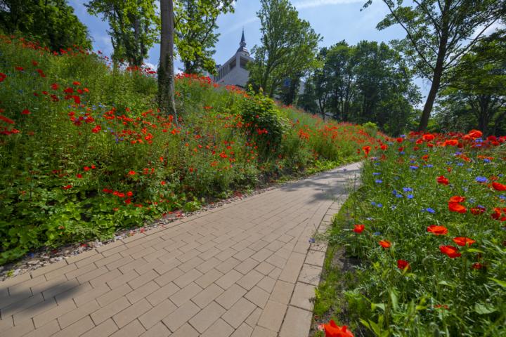 Naturnahe Garten gestalten Naturnahe Garten gestalten