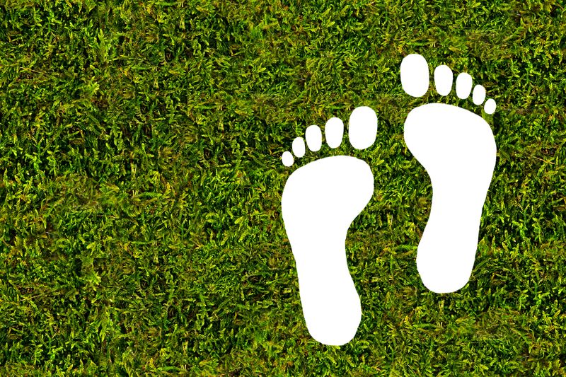 Foto: stock.adobe.com / Jenny Sturm (No. 9271) (Bildquelle: stock.adobe.com / Jenny Sturm) Foto: stock.adobe.com / Jenny Sturm (No. 9271) (Bildquelle: stock.adobe.com / Jenny Sturm)