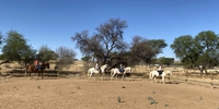Auf in die Welt: Freiwilligendienst im Gap Year in Namibia (Foto: BürgerStiftung Region Ahrensburg) Auf in die Welt: Freiwilligendienst im Gap Year in Namibia (Foto: BürgerStiftung Region Ahrensburg)