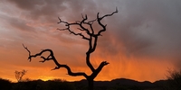 Auf in die Welt: Freiwilligendienst im Gap Year in Namibia (Foto: BürgerStiftung Region Ahrensburg)