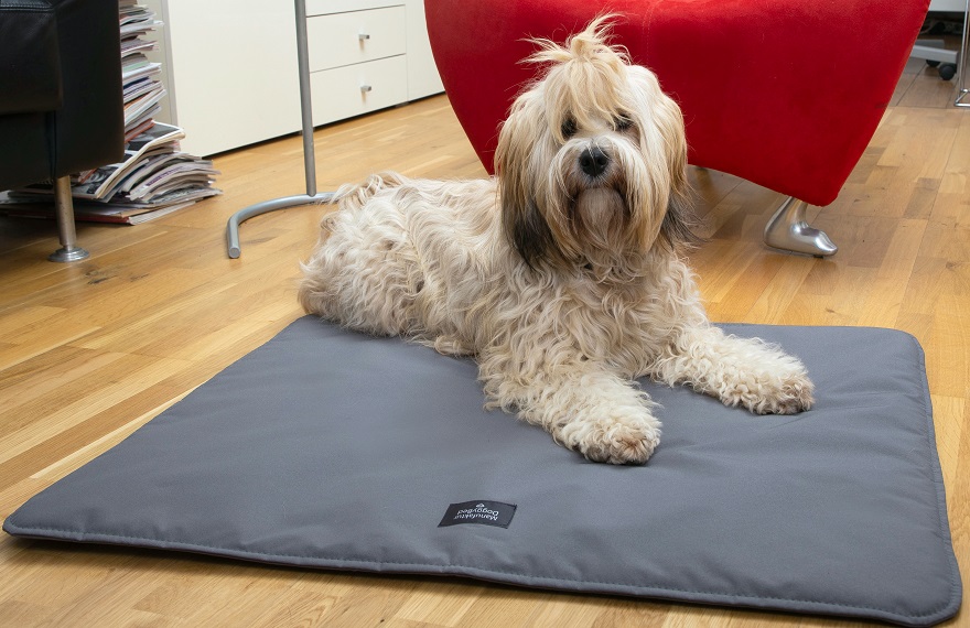 DoggyBed Manufaktur (Die Bildrechte liegen bei dem Verfasser der Mitteilung.)
