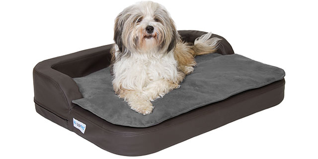 DoggyBed Hundebett (Die Bildrechte liegen bei dem Verfasser der Mitteilung.)