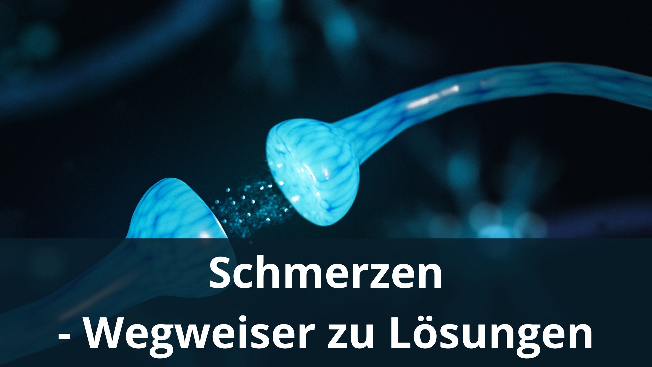 Schmerzen - Wegweiser zu Lösungen (Die Bildrechte liegen bei dem Verfasser der Mitteilung.)