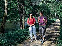 Wandern Bayerischer Wald (Ilztal)