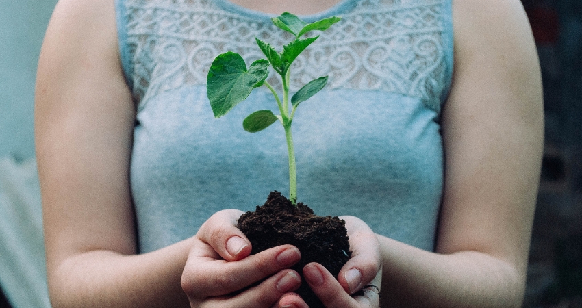 Profitroom–sozial verantwortliches Unternehmen startet Initiative #ShareHospitality mit Pflanzung (Bildquelle: Profitroom) Profitroom–sozial verantwortliches Unternehmen startet Initiative #ShareHospitality mit Pflanzung (Bildquelle: Profitroom)