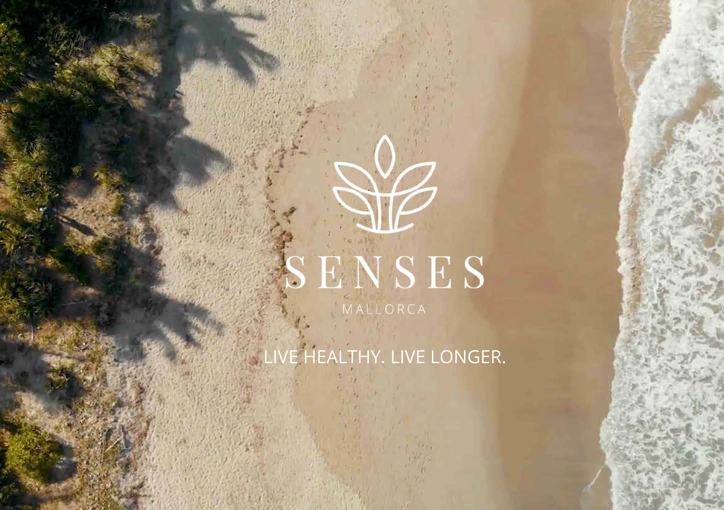 (Bildquelle: SENSES)