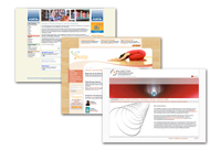 Die von PNM programmierten Portale zeigen die Gestaltungsmöglichkeiten von TYPO3 Die von PNM programmierten Portale zeigen die Gestaltungsmöglichkeiten von TYPO3