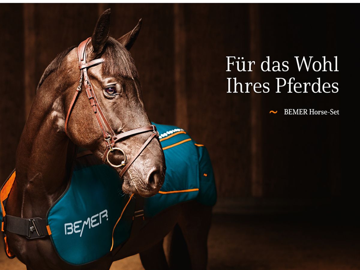 BEMER Horse Set (Die Bildrechte liegen bei dem Verfasser der Mitteilung.)