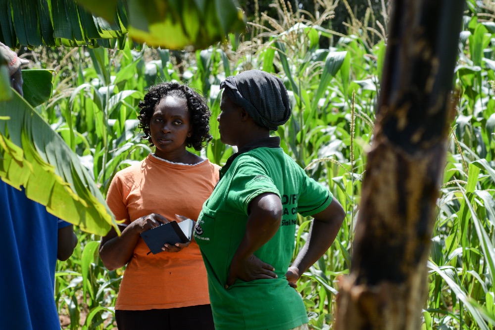 Nahrungsmittelversorgung in Nigeria - Produktivitätsfortschritt 2022 (Die Bildrechte liegen bei dem Verfasser der Mitteilung.) Nahrungsmittelversorgung in Nigeria - Produktivitätsfortschritt 2022 (Die Bildrechte liegen bei dem Verfasser der Mitteilung.)
