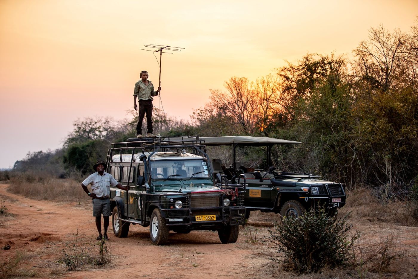 Rewild Zambezi - epische Umsiedlung von Wildtieren Rewild Zambezi - epische Umsiedlung von Wildtieren