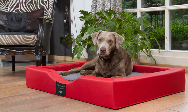 Doggybed Visco Compact (Die Bildrechte liegen bei dem Verfasser der Mitteilung.)
