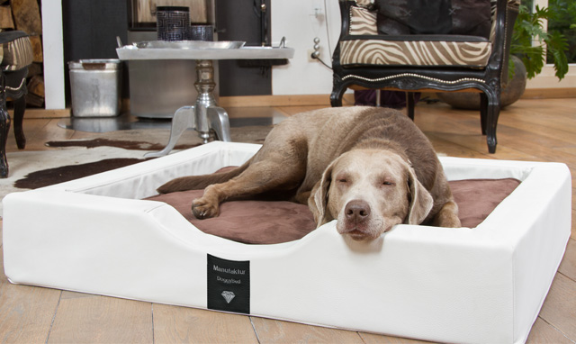 DoggyBed Hundekorb Compact Style (Die Bildrechte liegen bei dem Verfasser der Mitteilung.)