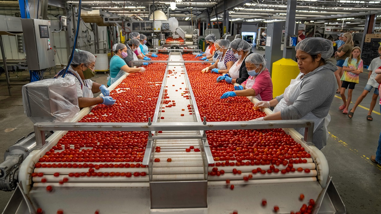 (Die Bildrechte liegen bei dem Verfasser der Mitteilung.)