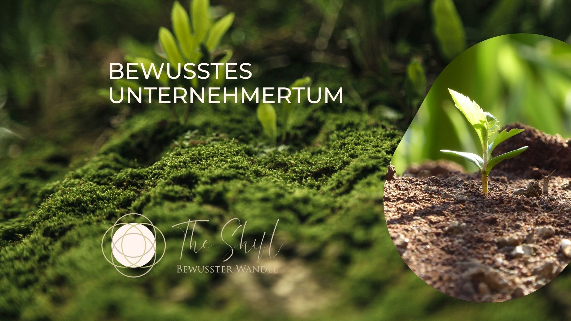 The Shift Bewusster Wandel steht für ein Umdenken in der Wirtschaft und unterstützt Unternehmen in ihrer Kommunikation darin. The Shift Bewusster Wandel steht für ein Umdenken in der Wirtschaft und unterstützt Unternehmen in ihrer Kommunikation darin.