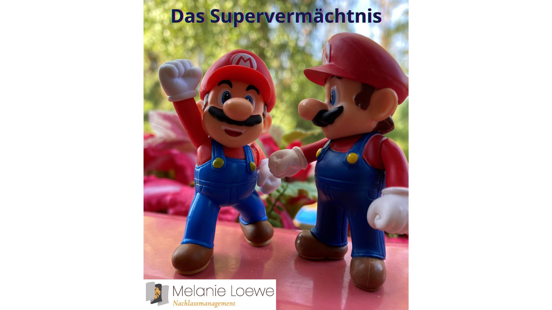 Melanie Loeweüber das Supervermächtnis. (Die Bildrechte liegen bei dem Verfasser der Mitteilung.) Melanie Loeweüber das Supervermächtnis. (Die Bildrechte liegen bei dem Verfasser der Mitteilung.)