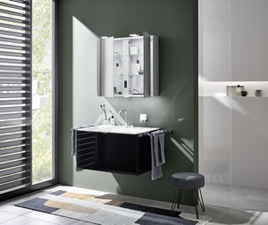 Spiegelschrank Pure 2 und Flat 2 - Version: Style Spiegelschrank Pure 2 und Flat 2 - Version: Style