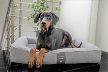 Original DoggyBed Soft Style (Die Bildrechte liegen bei dem Verfasser der Mitteilung.) Original DoggyBed Soft Style (Die Bildrechte liegen bei dem Verfasser der Mitteilung.)