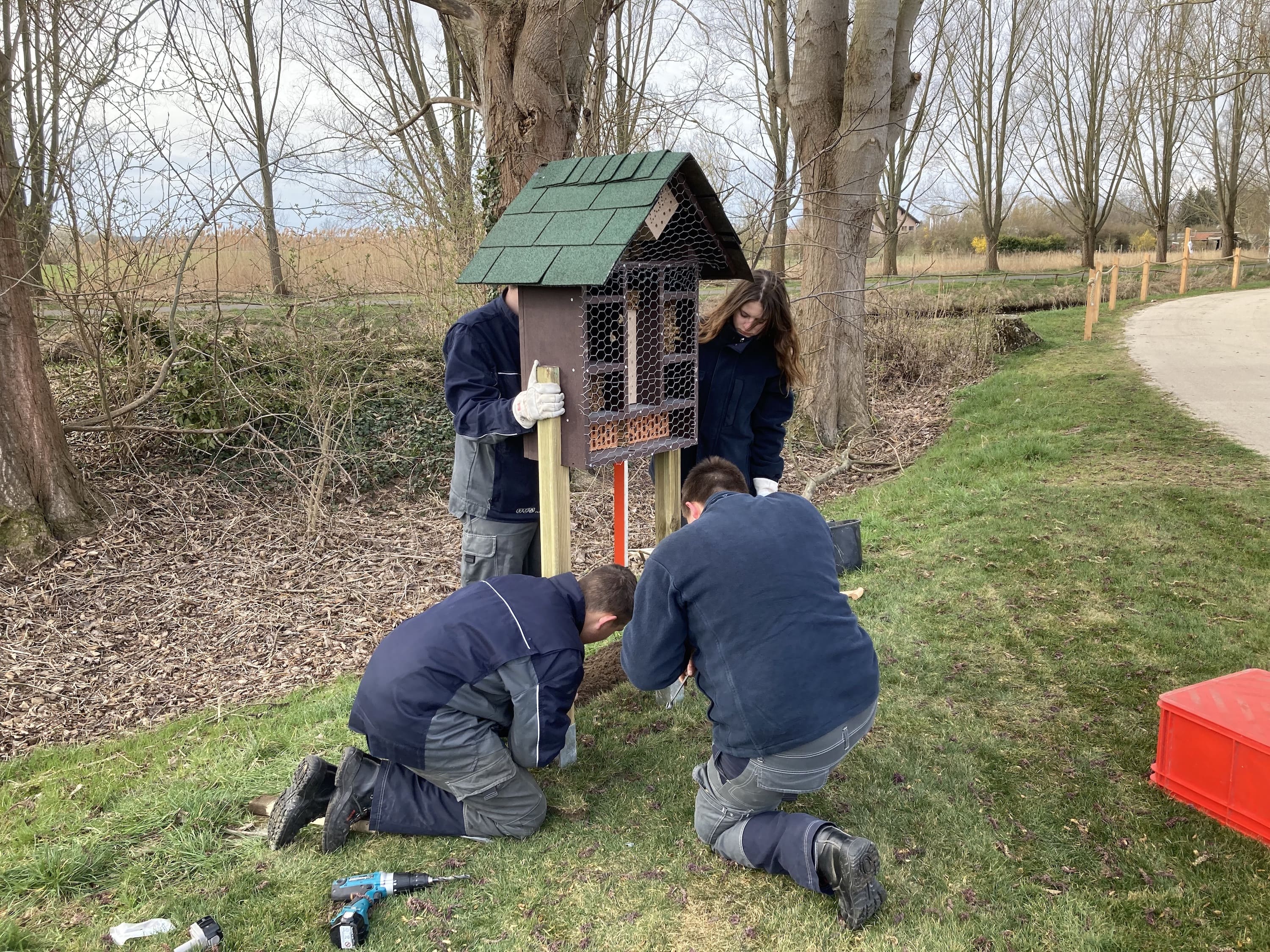 Artenschutz in Brandenburg: Die Auszubildenden von E.DIS stellen ein Insektenhotel bei der Landesgartenschau in Beelitz auf. Artenschutz in Brandenburg: Die Auszubildenden von E.DIS stellen ein Insektenhotel bei der Landesgartenschau in Beelitz auf.