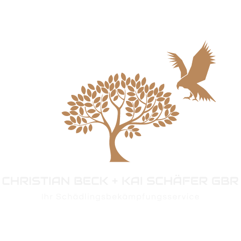 Beck & Schäfer Beck & Schäfer