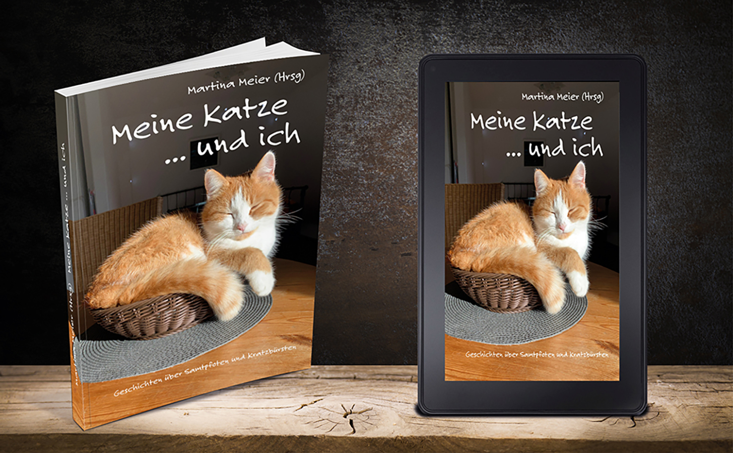 Bürokater Sammy ist erschöpft vom vielen Lesen der tollen Katzengeschichten in dem Buch Bürokater Sammy ist erschöpft vom vielen Lesen der tollen Katzengeschichten in dem Buch