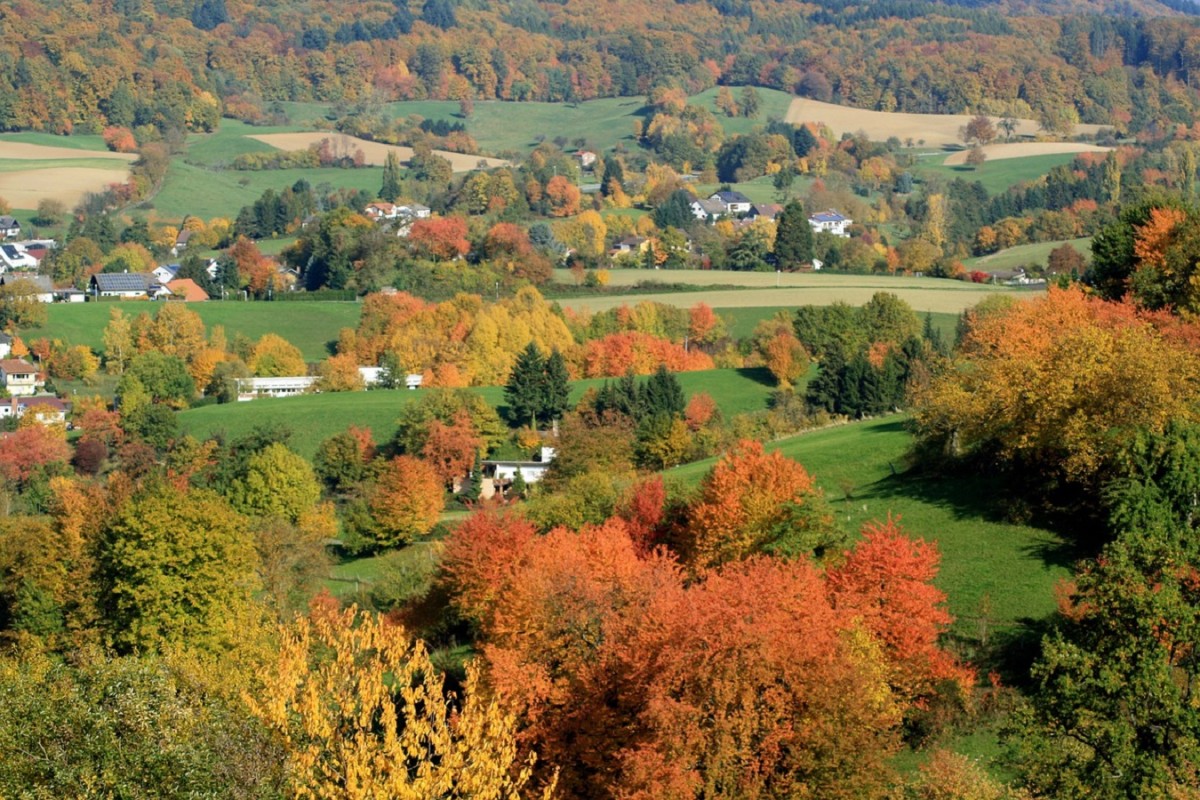 Kommunale MVZ - Vernetzung im ambulanten Gesundheitswesen (© top-kreativ_pixabay.com)