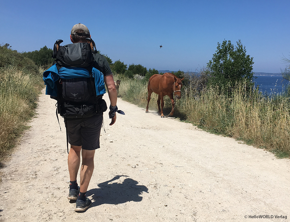 Die letzten 100 km auf dem Jakobsweg: Reise wie es Dir gefällt! (Die Bildrechte liegen bei dem Verfasser der Mitteilung.)