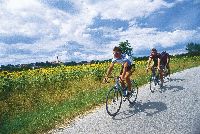 Radweg in Bayern