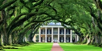 Auf in die Welt - Schüleraustausch USA in Louisiana (Foto: Rene Rauschenberger auf Pixabay) Auf in die Welt - Schüleraustausch USA in Louisiana (Foto: Rene Rauschenberger auf Pixabay)