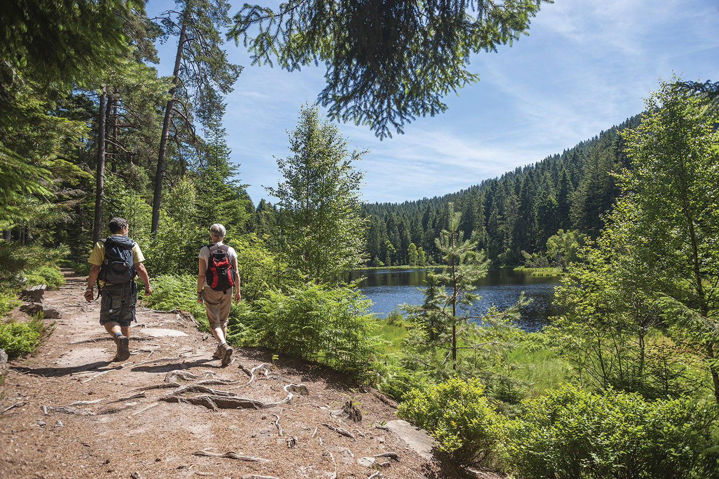 Fasten-Wandern im Harz - der pure Genuss (Bildquelle: Jürgen Wackenhut - adobestock.com)