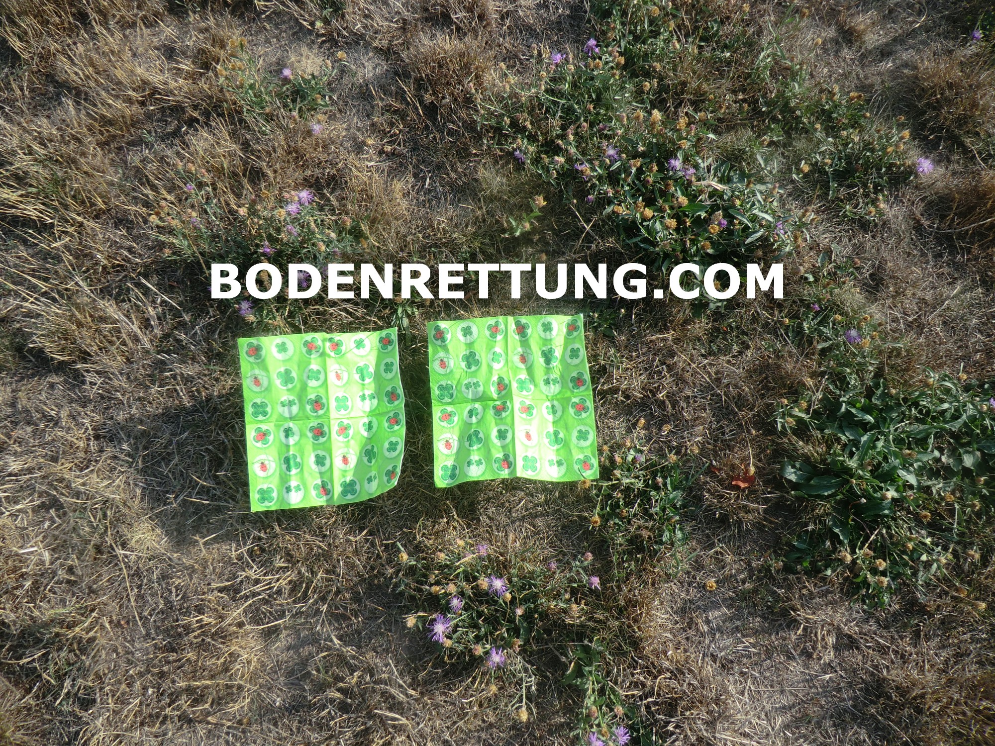 Greening Deserts Katastrophenvorsorge Kampagne sowie Initiativen zum Bodenschutz, Waldschutz und Wasserhaushalt Greening Deserts Katastrophenvorsorge Kampagne sowie Initiativen zum Bodenschutz, Waldschutz und Wasserhaushalt