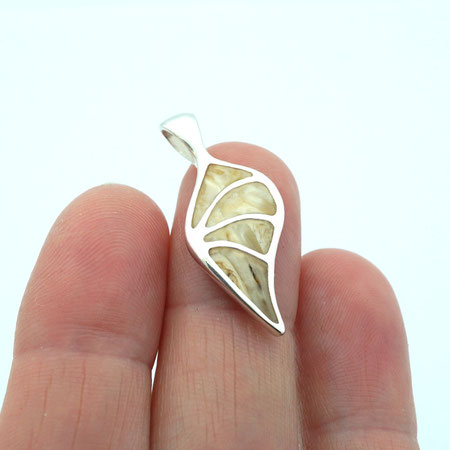 Schmuck aus Pferdezahn (Die Bildrechte liegen bei dem Verfasser der Mitteilung.)
