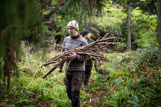 Wer im Wald Holzsammeln möchte, sollte sich vorabüber die Regeln in seinem Bundesland informieren. (Bildquelle: ERGO Group)