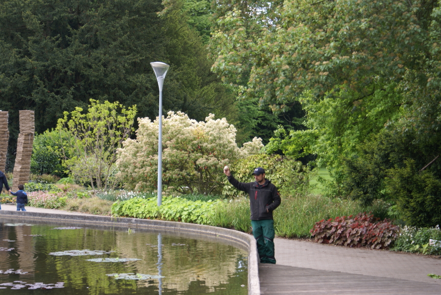 Mudballs werden in den Luisenpark in Mannheim geworfen (Die Bildrechte liegen bei dem Verfasser der Mitteilung.) Mudballs werden in den Luisenpark in Mannheim geworfen (Die Bildrechte liegen bei dem Verfasser der Mitteilung.)