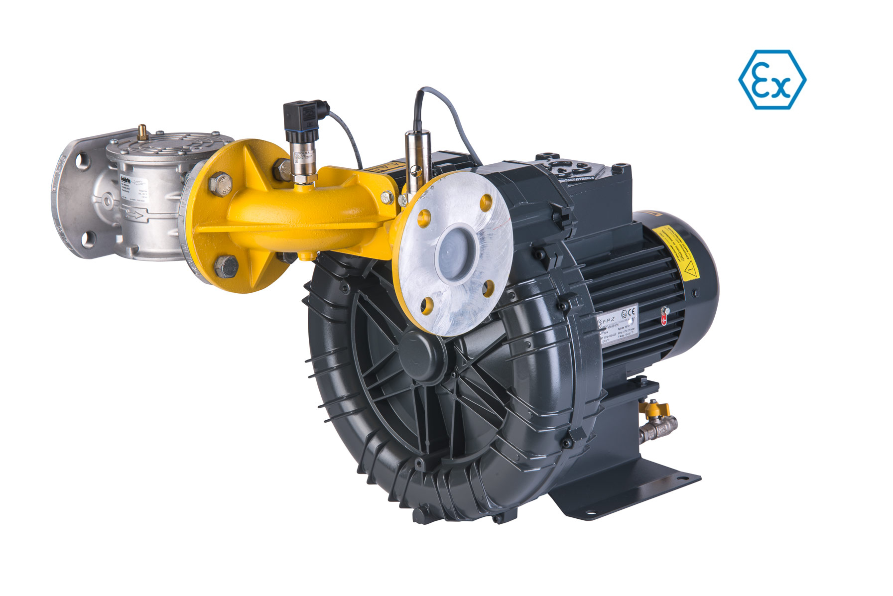 Seitenkanalverdichter für den Biogas / ATEX - Einsatz