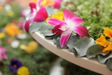 So schmeckt der Frühling - mit Kirberg Catering So schmeckt der Frühling - mit Kirberg Catering