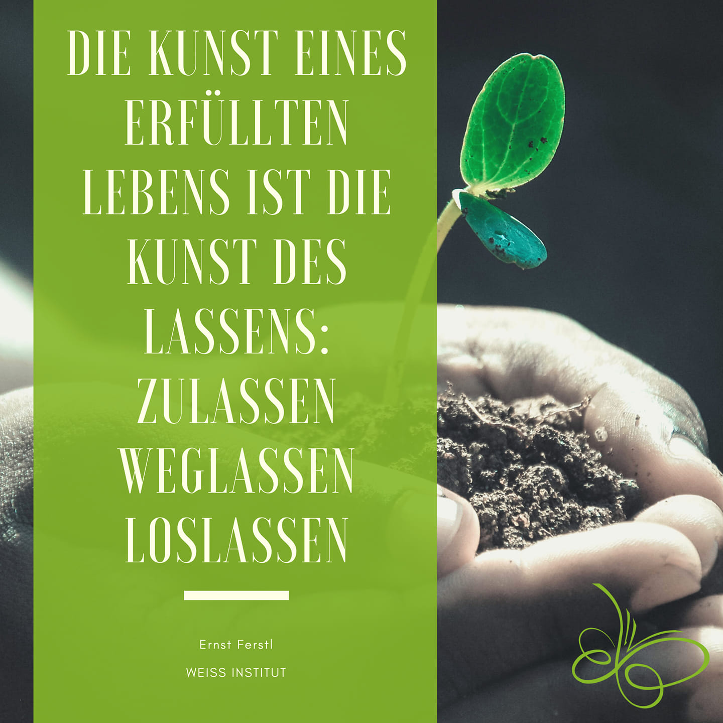 Weiss-Institut - Sind Sie bereit, Ihrer Freiheit mehr Raum zu erlauben? Online-Kurs Weiss-Institut - Sind Sie bereit, Ihrer Freiheit mehr Raum zu erlauben? Online-Kurs
