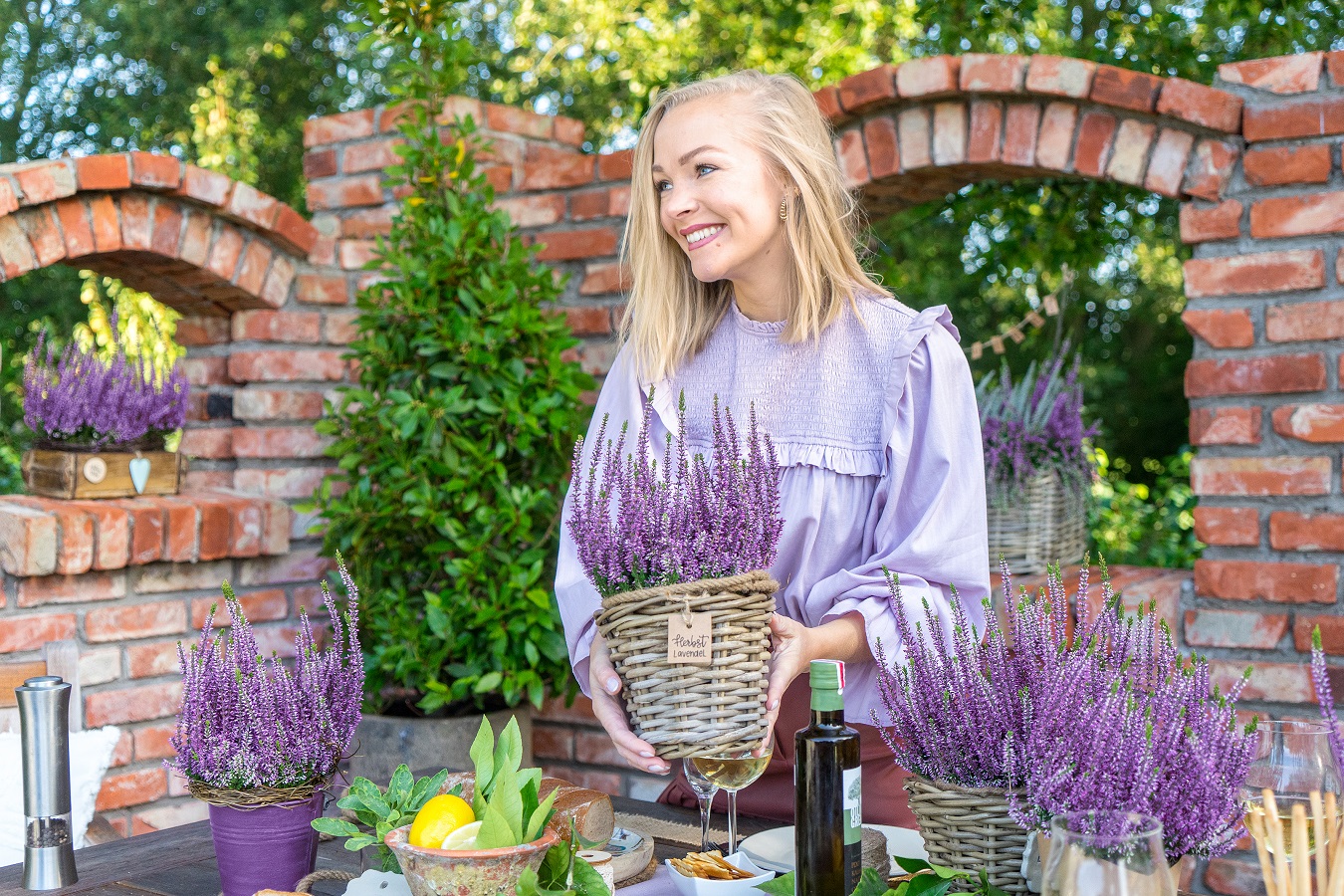 Herbstlavendel zeichnet sich durch lange Blühdauer und schönen kompakten Wuchs aus - Gardengirls® Herbstlavendel zeichnet sich durch lange Blühdauer und schönen kompakten Wuchs aus - Gardengirls®