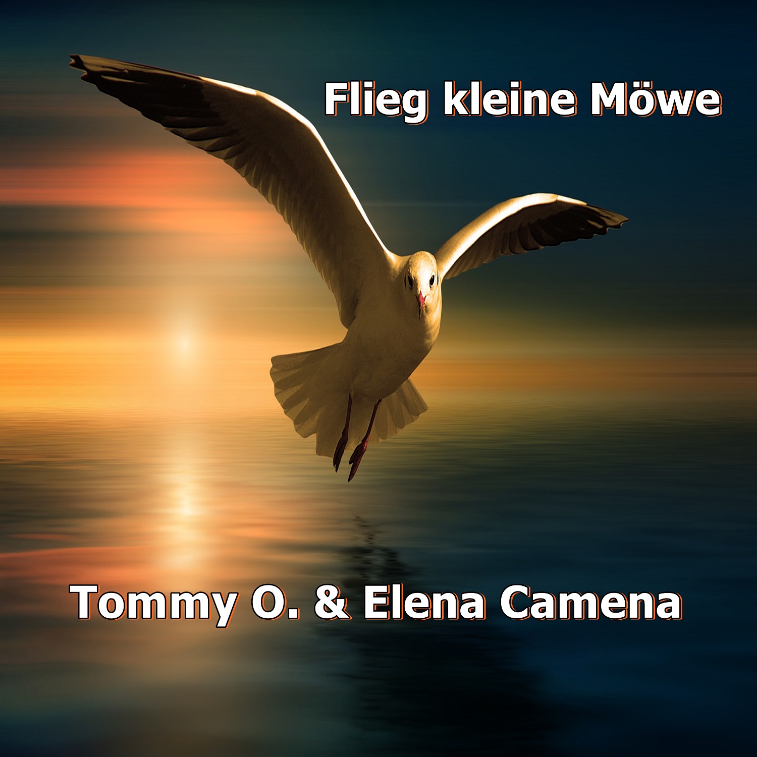 Flieg kleine Möwe - Cover Flieg kleine Möwe - Cover