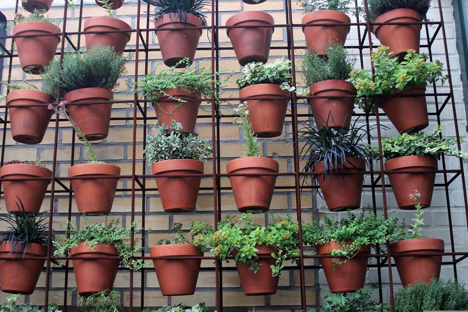 Topf- und Zimmerpflanzen mit Schafwollpellets düngen